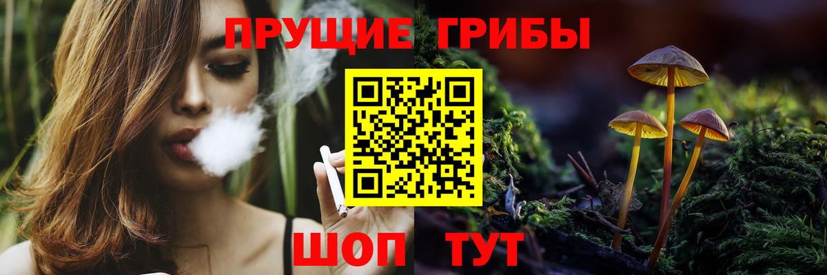 Мыски  Псилоцибиновые грибы Psilocybine cubensis  Вход с VPN 
